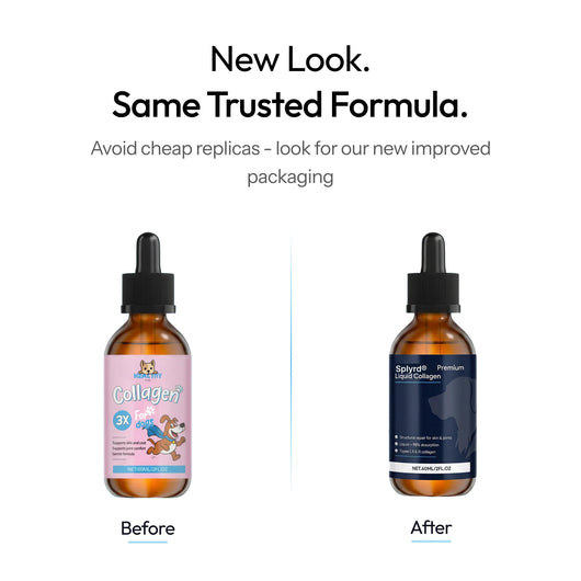 Splyrd Premium Liquid Collagen