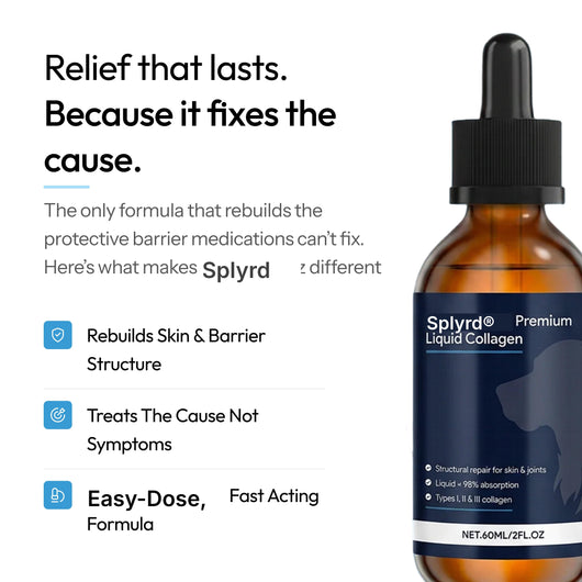 Splyrd Premium Liquid Collagen