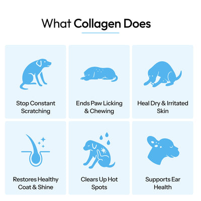 Splyrd Premium Liquid Collagen