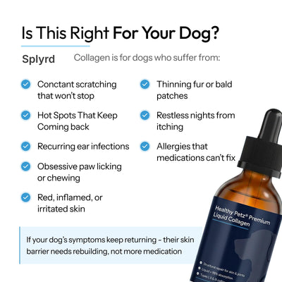 Splyrd Premium Liquid Collagen