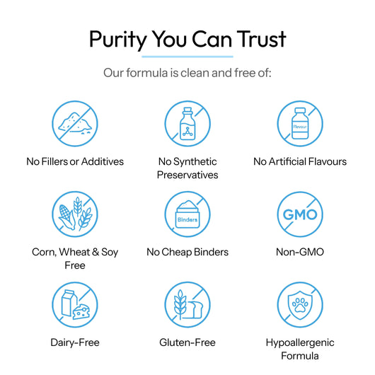 Splyrd Premium Liquid Collagen