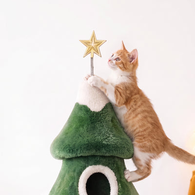 Cat climbing to the golden star topper