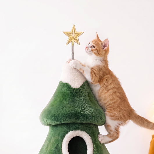 Cat climbing to the golden star topper