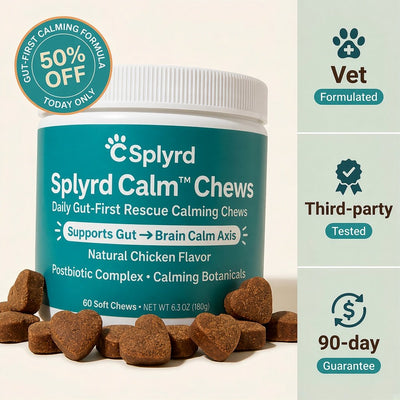 Splyrd Calm Postbiotic Chews
