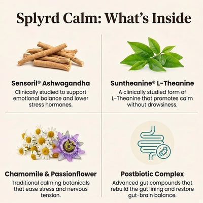 Splyrd Calm Postbiotic Chews