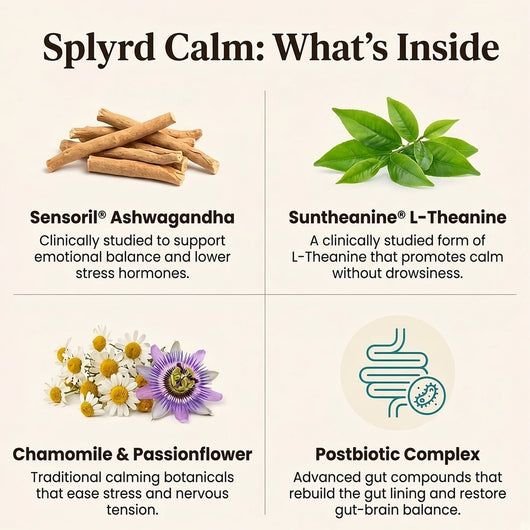 Splyrd Calm Postbiotic Chews