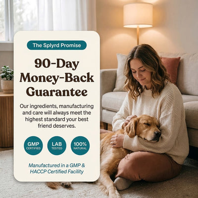 Splyrd Calm Postbiotic Chews